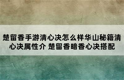 楚留香手游清心决怎么样华山秘籍清心决属性介 楚留香暗香心决搭配